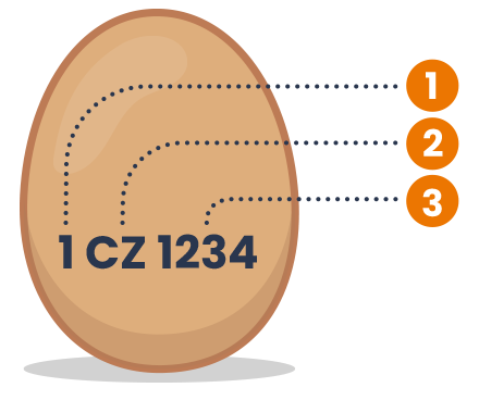Vysvětlení kódu na vejci